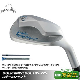 【ふるさと納税】【ロフト角選択可】ゴルフクラブ ドルフィンウェッジ DW-225 メンズ スチールシャフト キャスコ kasco