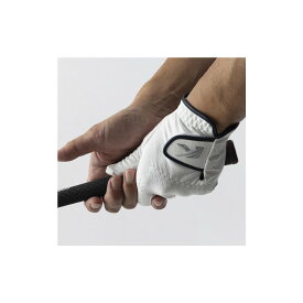 【ふるさと納税】【サイズ選択可】 数量限定 ゴルフグローブ 人工スウェード（3枚）左手用