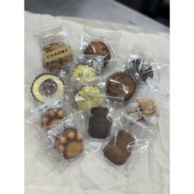【ふるさと納税】焼き菓子 セット 10種 12個入り (クッキー ガトーショコラ タルト レモンケーキ マフィン）【8月中旬以降発送】