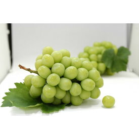 【ふるさと納税】シャインマスカット 600g (1房)