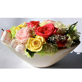 楽天市場 山本 ヤル 花 観葉植物 花 ガーデン Diy の通販