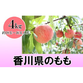 楽天市場 ふるさと納税 桃 桃 フルーツ 果物 食品の通販