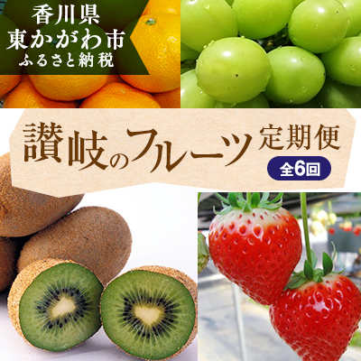 香川県東かがわ市 ふるさと納税 讃岐のフルーツ6回定期便 定期便 果物類 果物 果物詰合せ お届け：2021年12月～ 2021人気の セット 新しい 詰合せ フルーツ