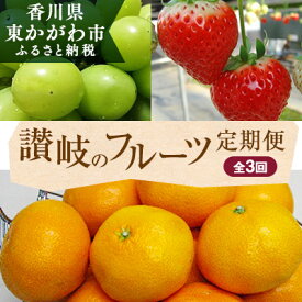 楽天市場 ふるさと納税 みかん 定期の通販