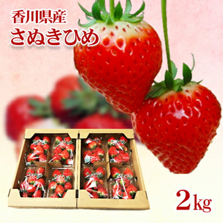 ふるさと納税 高松市 さぬきひめいちご化粧箱 約400g 最大64 オフ ふるさと納税 高松市 さぬきひめいちご化粧箱 約400g 最大64 オフ