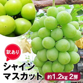 楽天市場 ふるさと納税 訳あり 産地 都道府県 香川 フルーツ 果物 食品 の通販