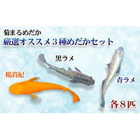 楽天市場 カルキ抜き 食品 の通販
