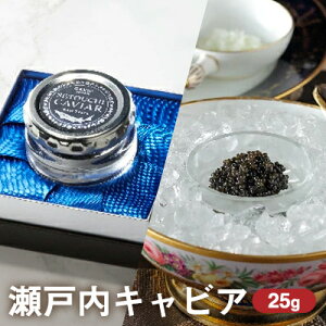 yӂ邳Ɣ[ŁzLrA 25g SEGE~2020 e[܎ ˓LrA Y LrA  H i ܂ ܂ 蕨 Mtg v[g  쌧 s