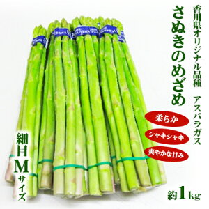 yӂ邳Ɣ[ŁzAXpKXyʂ̂߂߁zMTCY1kg  @͂F2026N310`610