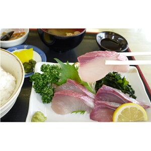 yӂ邳Ɣ[ŁzЂ܁iuji[w莒܂j  hg @͂F2025N1117`2026N1{