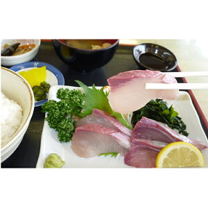 yӂ邳Ɣ[ŁzЂ܁iujАgtBi[w莒܂j  @͂F2025N1117`2026N1{