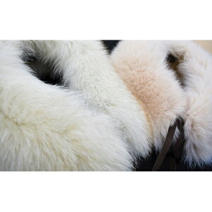 yӂ邳Ɣ[ŁzEl̎u[FOX@eBybg t@bV t@bV