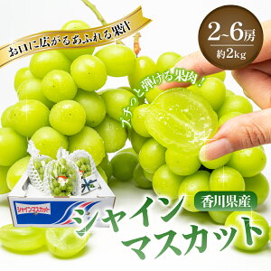 yӂ邳Ɣ[Łz˓̃VC}XJbg 2`6[ 2kg VC}XJbg }XJbg  Ԃǂ uhE t[c ʕ  ʎ {̉ʕ {̃t[c  쌧 s@