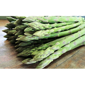 yӂ邳Ɣ[Łz삳̓I AXp 1kg 2LTCYyʂ̂߂߁z AXpKX ①  Â  O[AXp 1~ 10000~  ؃Zbg VN { Ƃꂽ 