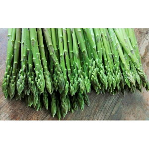 【ふるさと納税】砂川さんの特選 アスパラ 1kg Mサイズ【さぬきのめざめ】 アスパラガス 冷蔵便 野菜 甘い 美味しい グリーンアスパラ 1万円以下 野菜セット 新鮮 旬 とれたて お取り寄せ 小