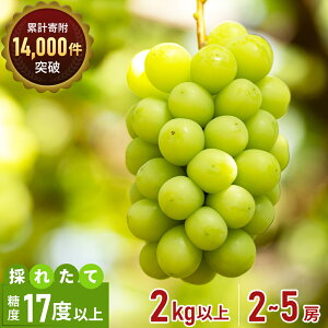 yӂ邳Ɣ[Łzu930܂ł̐H쉞iv VC}XJbg 2[`5[i2kgj ƒp }XJbg  Ԃǂ uhE t[c ʕ  ʎ {̉ʕ {̃t[c  