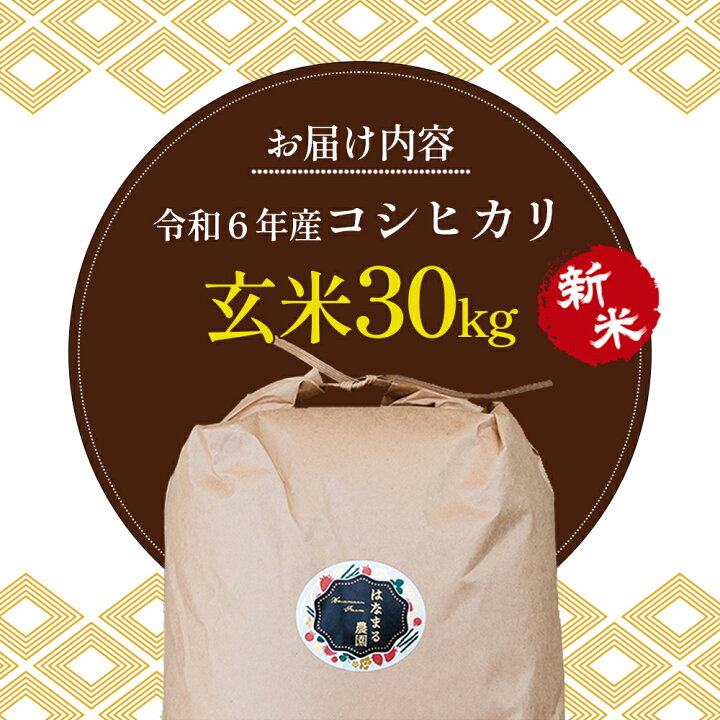 令和6年 新米 コシヒカリ 玄米30kg 減農薬 香川県産 