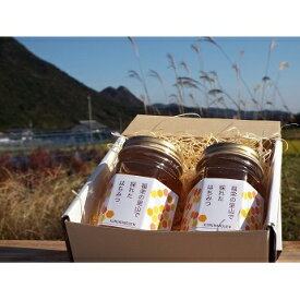 【ふるさと納税】木村農園のはちみつ（170g×2本）　【加工食品 蜂蜜 はちみつ】