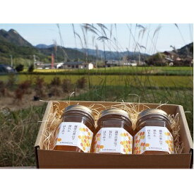 【ふるさと納税】木村農園のはちみつ（170g×3本）　【加工食品 蜂蜜 はちみつ】