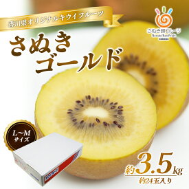 【ふるさと納税】さぬき ゴールドキウイ L～4Lサイズ16玉～ 24玉 3.5kg ゴールデンキウイ キウイフルーツ キウイ フルーツ 果物 くだもの 果実 旬の果物 旬のフルーツ 香川 香川県 東かがわ市　お届け：10月中旬～12月31日