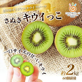 【ふるさと納税】キウイ さぬきキウイっこ 香川県産 一口サイズ 約2kg 小玉 糖度17～20度 香川県オリジナル品種 毛がない イガイガ感がない 追熟 食べごろ スムージー デザート ギフト 贈り物 キウイフルーツ フルーツ 五色青果 香川 香川県 東かがわ市 46312065