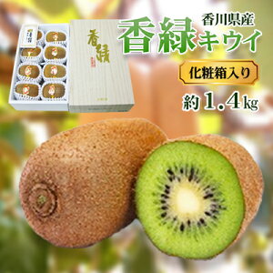 yӂ邳Ɣ[Łz (傭) LEC1.4kg ϔ LECt[c t[c ʕ  ʎ {̉ʕ {̃t[c  쌧 s@͂F11{`131