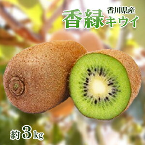 yӂ邳Ɣ[Łz (傭) LEC3kg LECt[c t[c ʕ  ʎ {̉ʕ {̃t[c  쌧 s@͂F11{`131
