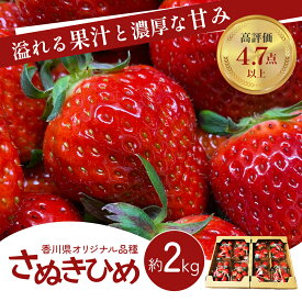 【ふるさと納税】《高評価》 香川県オリジナル品種！ いちご【さぬきひめ】2kg（ フルーツ 果物類 苺 さぬき姫 取り寄せ 糖度 甘い 農園 特産品 秀品 大粒 デザート 人気 ストロベリー 冷蔵便 ）　【 香川県東かがわ市 】　お届け：2024年1月下旬～6月上旬