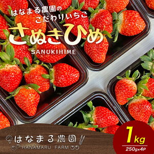 yӂ邳Ɣ[Łz ͂Ȃ܂_ 肢 ʂЂ 1kg 쌧Y  C`S t[c ʕ  {̃t[c {̉ʕ  쌧 s@͂F2026N21`5