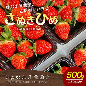 yӂ邳Ɣ[Łz ͂Ȃ܂_ 肢 ʂЂ 500g 쌧Y  C`S t[c ʕ  {̃t[c {̉ʕ  쌧 s@͂F2026N21`5