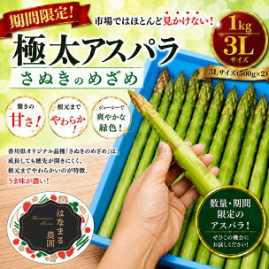 期間限定！極太アスパラ 【さぬきのめざめ1kg】 3Lサイ...
