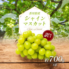 【ふるさと納税】訳あり シャインマスカット （ご家庭用） 約700g （1房）　【 お取り寄せ マスカット フルーツ ぶどう 7000円 果物 国産 香川県 年内発送 人気 甘い 糖度 種無し 冷蔵配送 】　お届け：2024年8月下旬～9月下旬