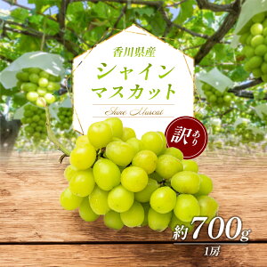 yӂ邳Ɣ[Łz󂠂 VC}XJbg 700g 1[ ƒp 쌧Y Ԃǂ uhE  }XJbg t[c ʕ  {̃t[c {̉ʕ s A  쌧 s