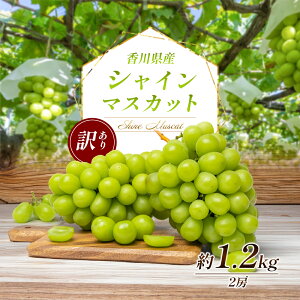 yӂ邳Ɣ[Łz󂠂 VC}XJbg 1.1kg 2[ ƒp 쌧Y Ԃǂ uhE  }XJbg t[c ʕ  {̃t[c {̉ʕ s A  쌧 s