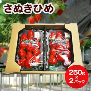 yӂ邳Ɣ[Łz ʂЂ DXpbN 500g (250g×2pbN) 쌧Y  C`S t[c ʕ  {̃t[c {̉ʕ 嗱  쌧 s@͂F11{`131