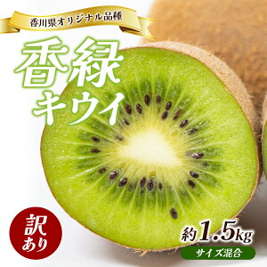 yӂ邳Ɣ[Łz󂠂  LEC 1.5kg 쌧Y LECt[c LEC t[c ʕ  {̃t[c {̉ʕ s A  쌧 s@͂F11{`131