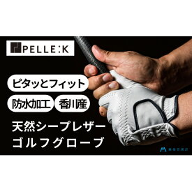 【ふるさと納税】【KURODA】藤巻百貨店別注ゴルフグローブ（全天候型） ファッション小物