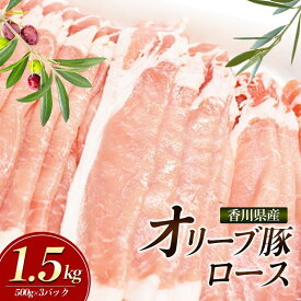 【ふるさと納税】香川県産オリーブ豚　1500g　小分け（500g×3）「5月発送または8月発送または11月発送」　【 お肉 豚肉 ロース しゃぶしゃぶ オリーブ 香川県産 赤身 うま味 さっぱり 料理 美味しい スライス 】　お届け：2024年5月6日～2024年11月30日