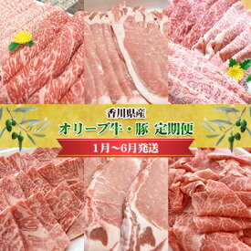 【ふるさと納税】香川県産　オリーブ牛、豚　1kg　定期便（1月～6月） お肉 すき焼き用 しゃぶしゃぶ用 焼肉用 とんかつ用 切り落とし 　お届け：2026年1月～2026年6月