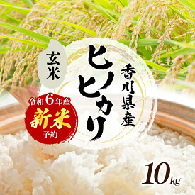 【ふるさと納税】令和6年産　新米「ヒノヒカリ」10kg（玄米）　【お米・玄米・お米・お米・ヒノヒカリ】　お届け：2024年10月中旬～11月下旬