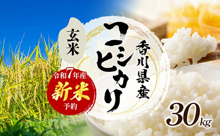 楽天市場】【ふるさと納税】令和6年産 新米「コシヒカリ」30kg（玄米  