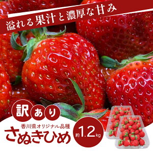 yӂ邳Ɣ[Łz󂠂 ʂЂ 1.2kg 쌧Y  C`S t[c ʕ  {̃t[c {̉ʕ s W H HHi A  쌧 s@͂F2026N4