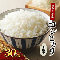 楽天市場】津南町コシヒカリ 玄米 30kgの通販 