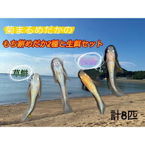 yӂ邳Ɣ[Łze܂߂́y݂߂2퐶aZbgzv8C _J c`ዛ 1.5cm`2.0cm  ybg ~WR ]EV