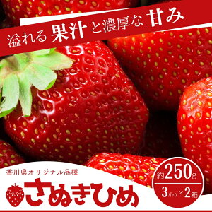 yӂ邳Ɣ[Łz쌧IWiiI@ƒpʂЂ䕁@6pbN@͂F2{`5{܂