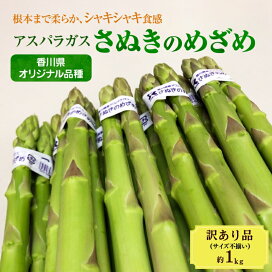楽天市場】【ふるさと納税】「食卓応援品」令和7年産「ヒノヒカリ 