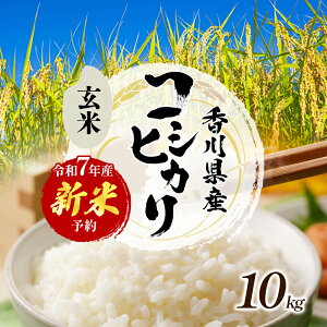 yӂ邳Ɣ[Łzߘa7NY@VāuRVqJv10kgiāj  10kg @͂F2025N8{`9{