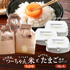 �y�ӂ邳�Ɣ[�Łz�ؑ��_���̂[�����āy5kg���āz�q�m�q�J���Ɠ�������s�̂��܂��u�{��M�T�C�Y�i10��×3P�j�v�@���͂��F2026�N1����{����2026�N2����