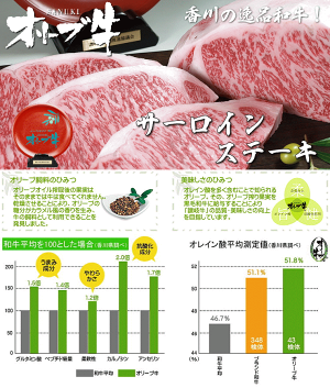 【ふるさと納税】オリーブ牛サーロインステーキ約220g×3