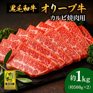 yӂ邳Ɣ[Łz јa I[u Jr ēp 1kg(500g×2) [ ] a Jr Ԃ ē LO uh    Y ꉟ   ؂藎Ƃ 